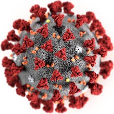 Coronavirus (Covid-19) information (uppdateras löpande)